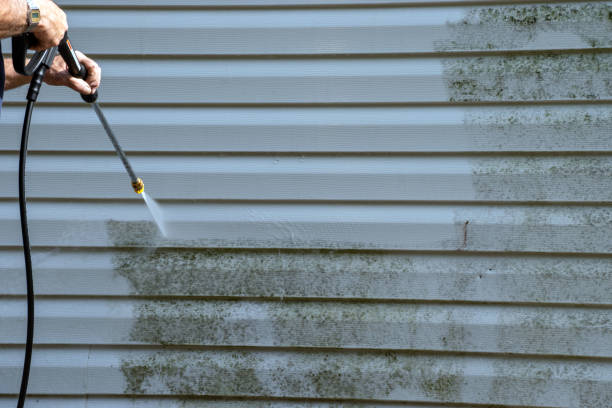 Best Yard Waste Removal  in Trail Creek, IN